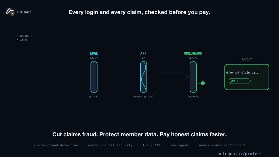 How Nemesis protects Security for Insurers & Health Insurance in one pass